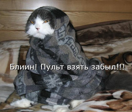 Торт из вермишели фото 7